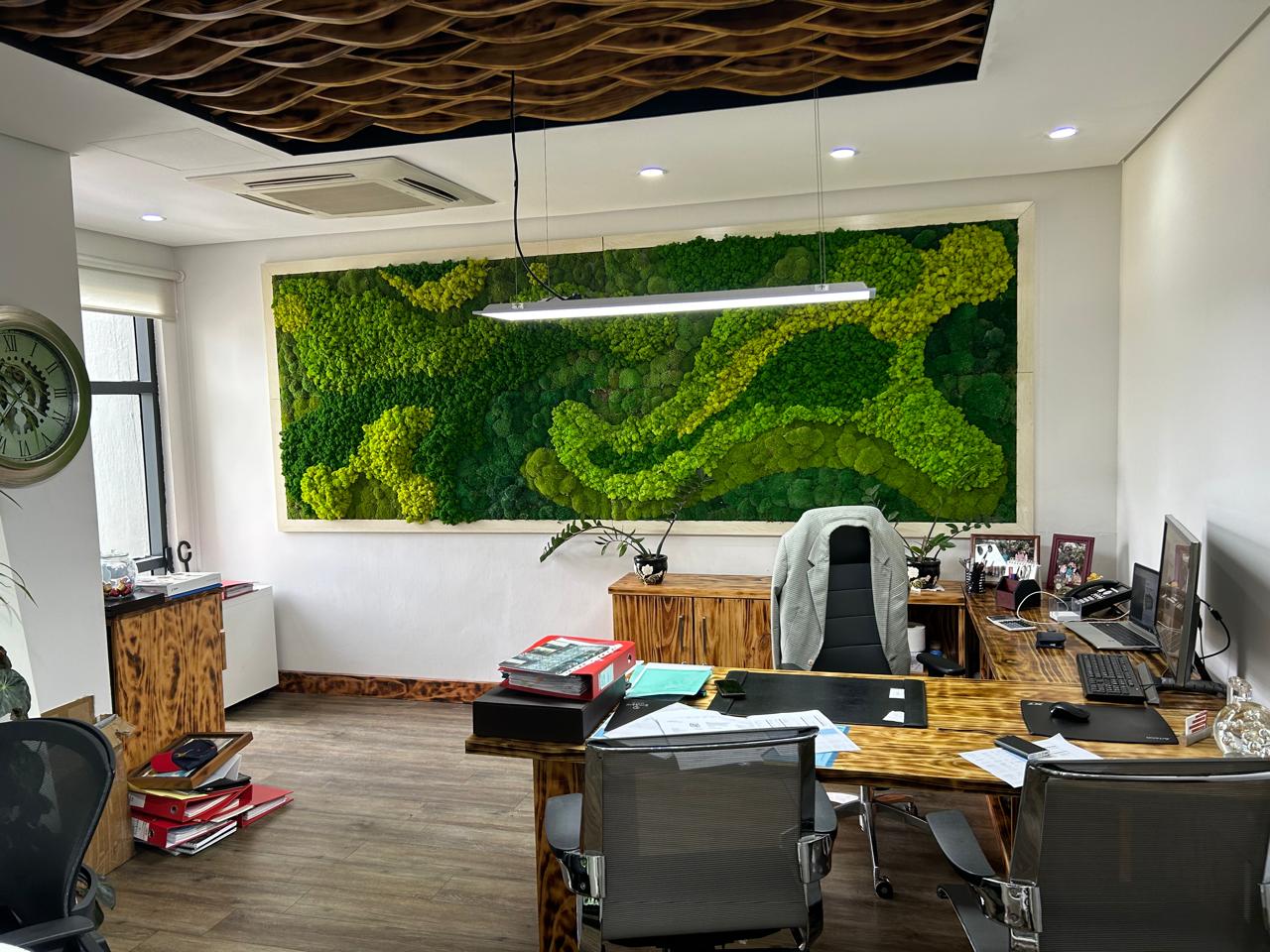 CEO Office NEXTARACOM